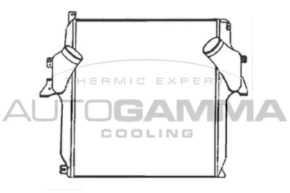 Теплообменник AUTOGAMMA 404386