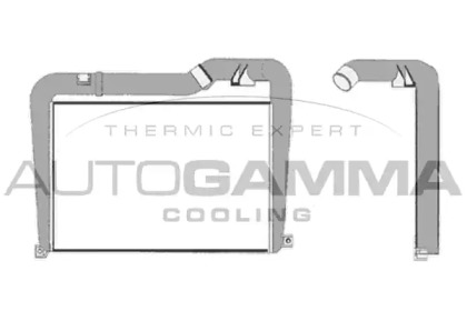 Теплообменник AUTOGAMMA 404538