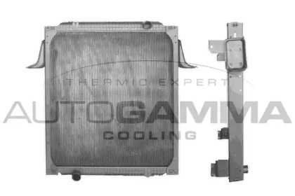 Теплообменник AUTOGAMMA 404548