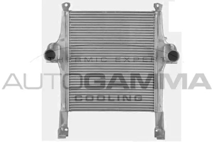Теплообменник AUTOGAMMA 404628