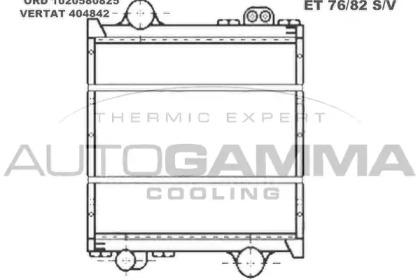 Теплообменник AUTOGAMMA 404842