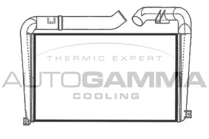 Теплообменник AUTOGAMMA 405068