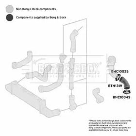 Шлангопровод BORG & BECK BTH1319