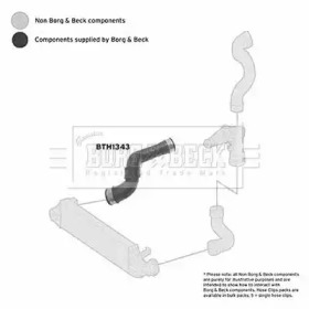 Шлангопровод BORG & BECK BTH1343