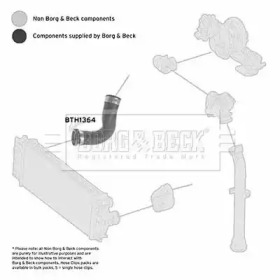 Шлангопровод BORG & BECK BTH1364