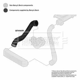 Шлангопровод BORG & BECK BTH1619