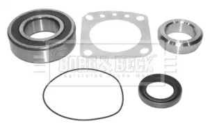 Комплект подшипника BORG & BECK BWK466