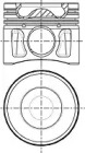 Поршень WILMINK GROUP WG1094139