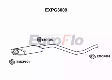 Амортизатор EuroFlo EXPG3009