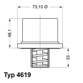 Термостат WAHLER 4619.86