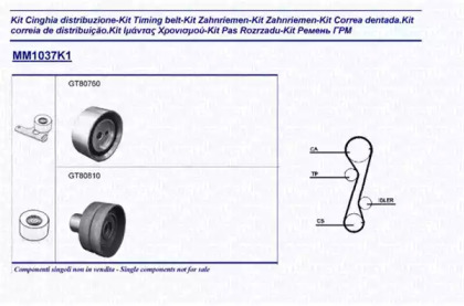 Ременный комплект MAGNETI MARELLI 341310371101