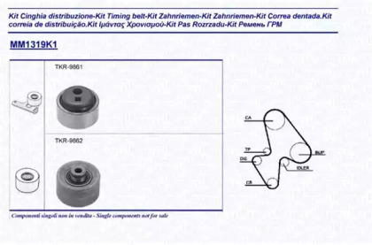 Ременный комплект MAGNETI MARELLI 341313191101