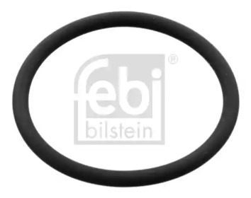 Прокладка, фланец охлаждающей жидкости FEBI BILSTEIN 100078