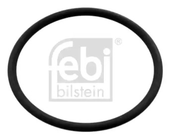 Уплотняющее кольцо FEBI BILSTEIN 100165