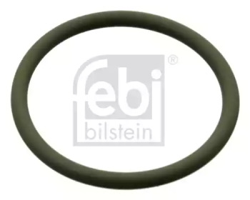 Уплотняющее кольцо FEBI BILSTEIN 100396