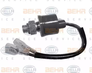 Переключатель BEHR HELLA SERVICE 6ZL 351 024-081