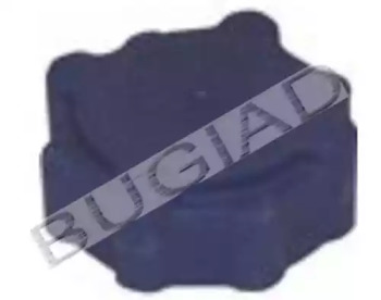  BUGIAD BSP21157