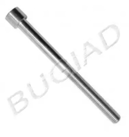 Болт BUGIAD BSP21163