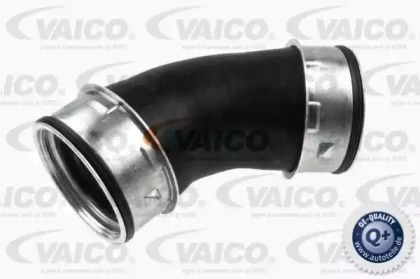 Шлангопровод VAICO V10-2900