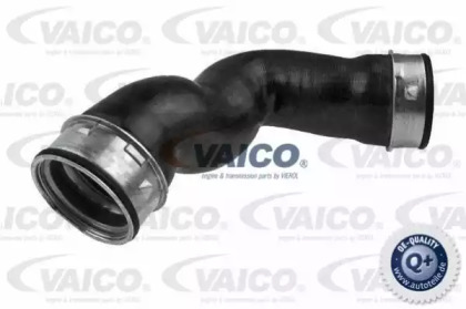 Шлангопровод VAICO V10-2901