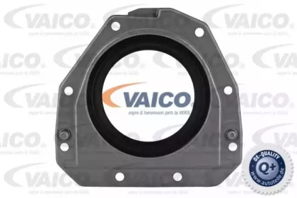 Уплотняющее кольцо VAICO V10-3685