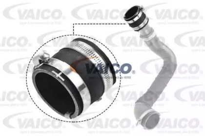 Шлангопровод VAICO V25-1048