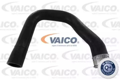 Шлангопровод VAICO V40-1360