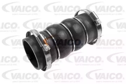 Шлангопровод VAICO V42-0581