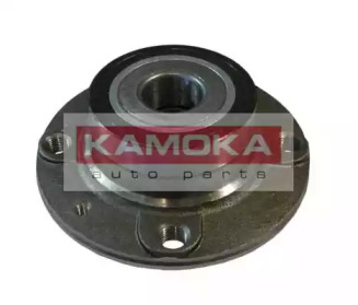 Комплект подшипника KAMOKA 5500007