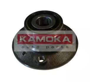 Комплект подшипника KAMOKA 5500009