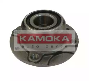 Комплект подшипника KAMOKA 5500026