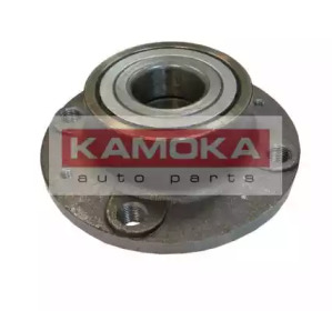 Комплект подшипника KAMOKA 5500042