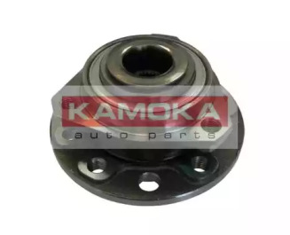 Комплект подшипника KAMOKA 5500060