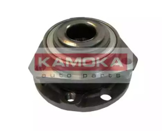 Комплект подшипника KAMOKA 5500062