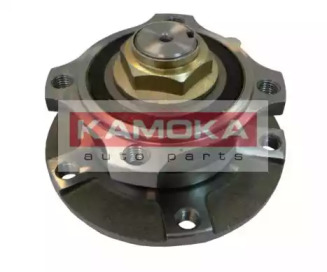 Комплект подшипника KAMOKA 5500070