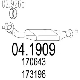 Катализатор MTS 04.1909