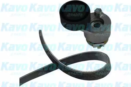 Комплект клинового ремня KAVO PARTS DKM-6510