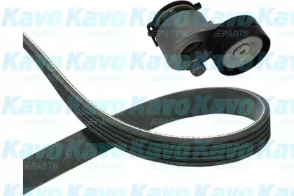 Комплект клинового ремня KAVO PARTS DKM-6511