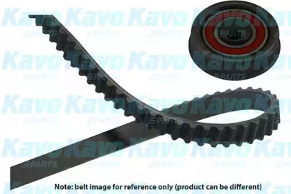 Комплект ремня ГРМ KAVO PARTS DKT-5503