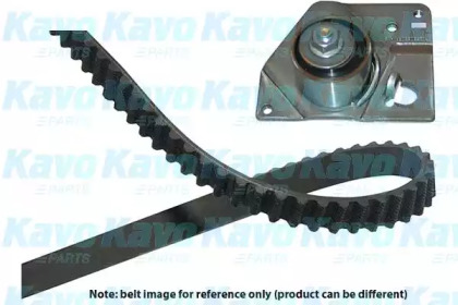 Комплект ремня ГРМ KAVO PARTS DKT-6516