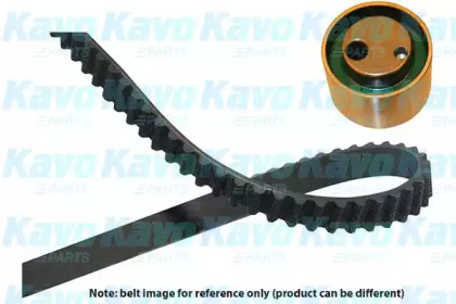 Комплект ремня ГРМ KAVO PARTS DKT-8505