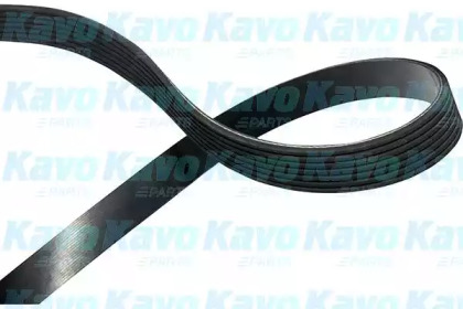 Поликлиновой ремень KAVO PARTS DMV-6556