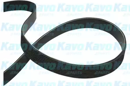 Ремень KAVO PARTS DMV-9114