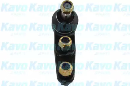 Шарнир KAVO PARTS SBJ-1001