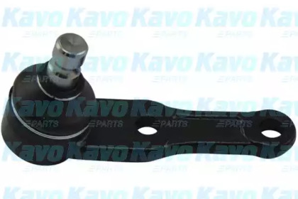 Шарнир KAVO PARTS SBJ-1005