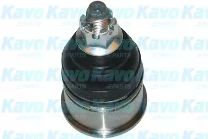 Шарнир KAVO PARTS SBJ-2009