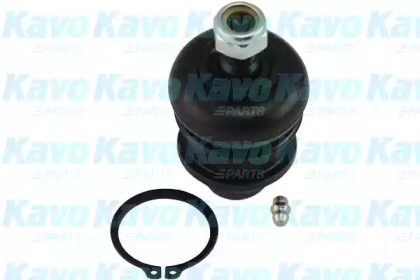 Шарнир KAVO PARTS SBJ-3011