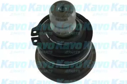 Шарнир KAVO PARTS SBJ-3017