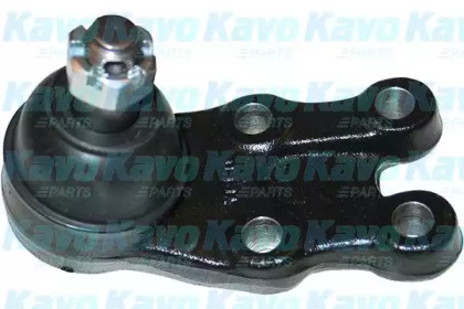 Шарнир KAVO PARTS SBJ-3021