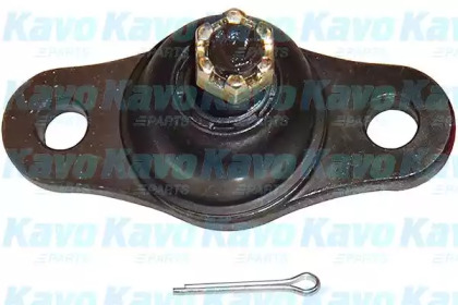 Несущий / направляющий шарнир KAVO PARTS SBJ-3028